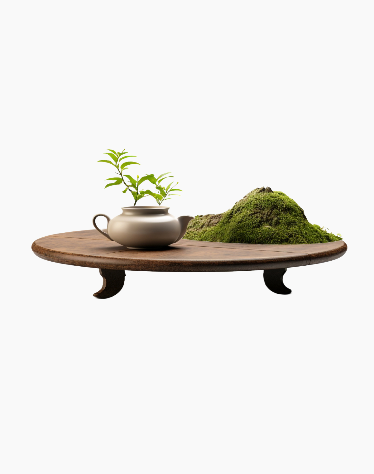 Round Elegance Center Table
